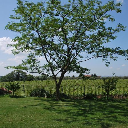 I Casali Della Parata Velletri Ngoại thất bức ảnh