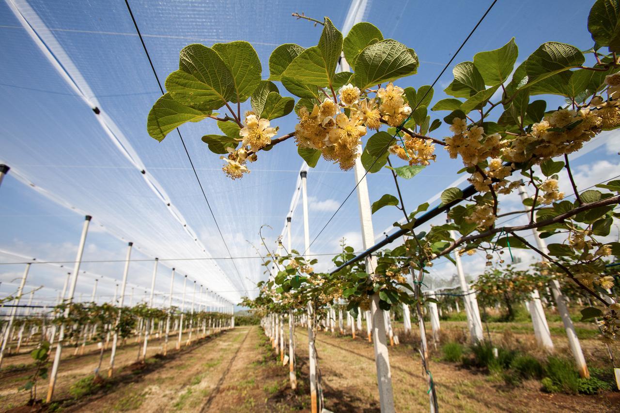 I Casali Della Parata Velletri Ngoại thất bức ảnh